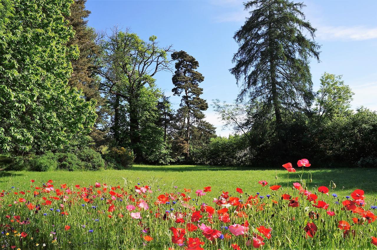 Saint-Germain-du-TeilDomaine Des Marequiers Chambre Melilot住宿加早餐旅馆 外观 照片