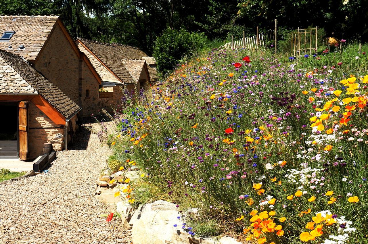 Saint-Germain-du-TeilDomaine Des Marequiers Chambre Melilot住宿加早餐旅馆 外观 照片