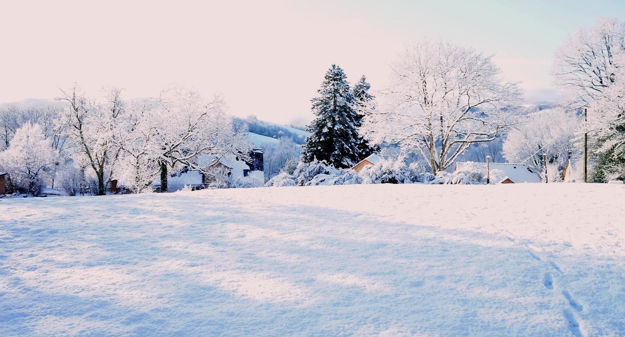 Saint-Germain-du-TeilDomaine Des Marequiers Chambre Melilot住宿加早餐旅馆 外观 照片