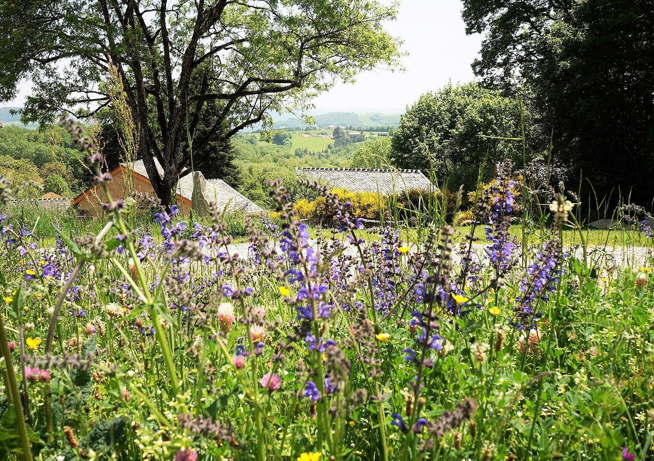 Saint-Germain-du-TeilDomaine Des Marequiers Chambre Melilot住宿加早餐旅馆 外观 照片