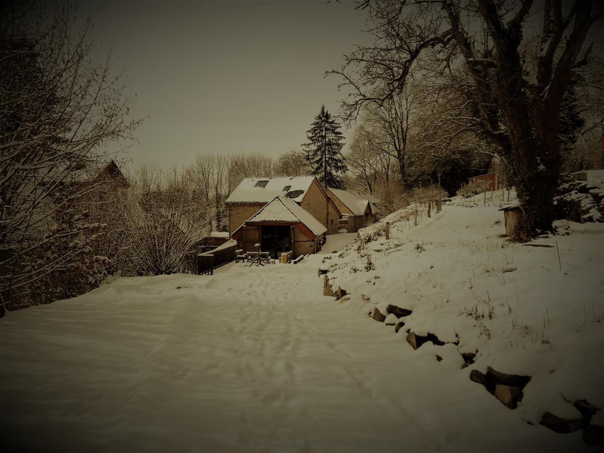 Saint-Germain-du-TeilDomaine Des Marequiers Chambre Melilot住宿加早餐旅馆 外观 照片